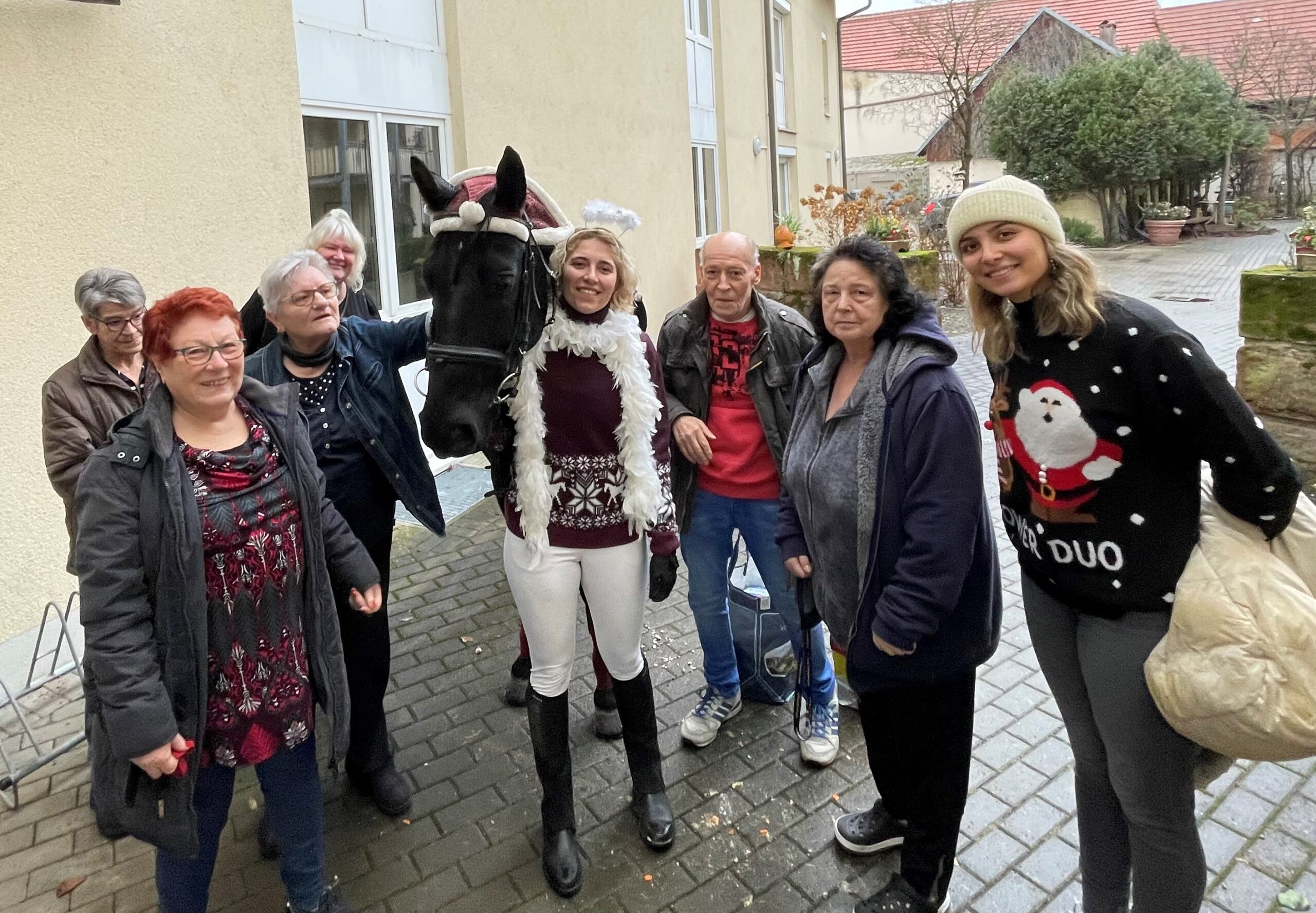 Besuch Weihnachtspferd Dez 2023